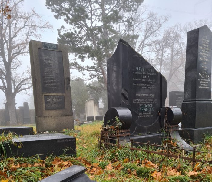 The Old Jewish Section of the Central Cemetery